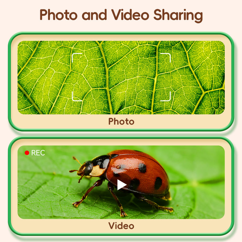 Photo and video recording function of the microscope