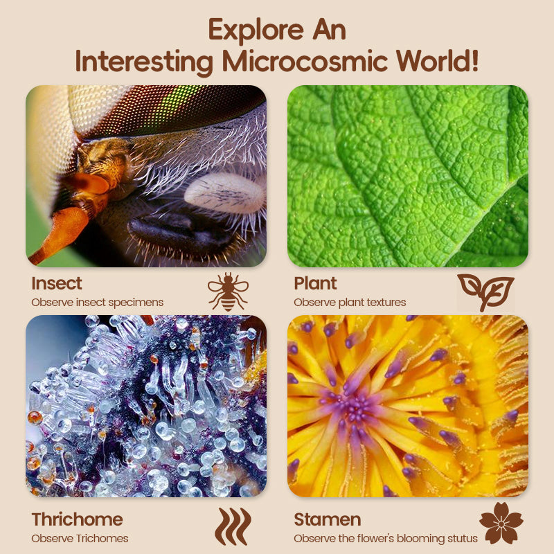 Explore the world with a microscope